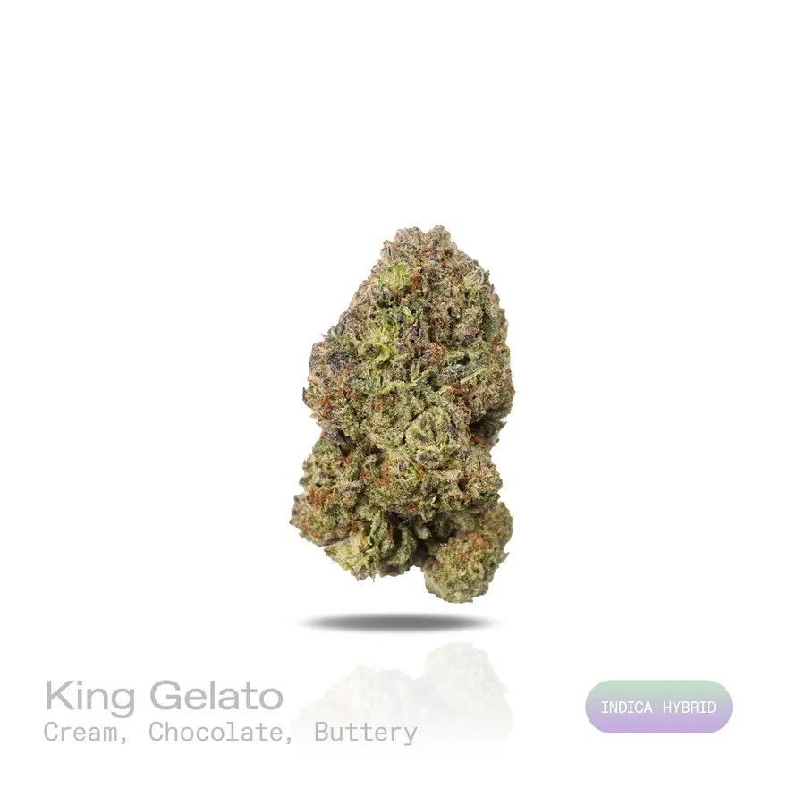 King Gelato THCa Flower (Indoor) (Indica Hybrid)
