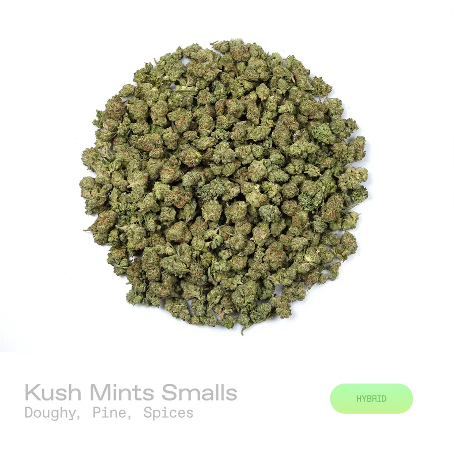 Kush Mints THCa Flower (Indoor) (Hybrid)