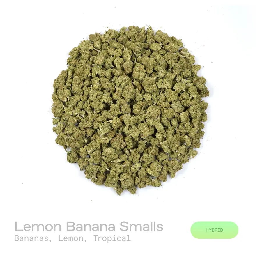 Lemon Bananas THCa Flower (Indoor) (Hybrid)