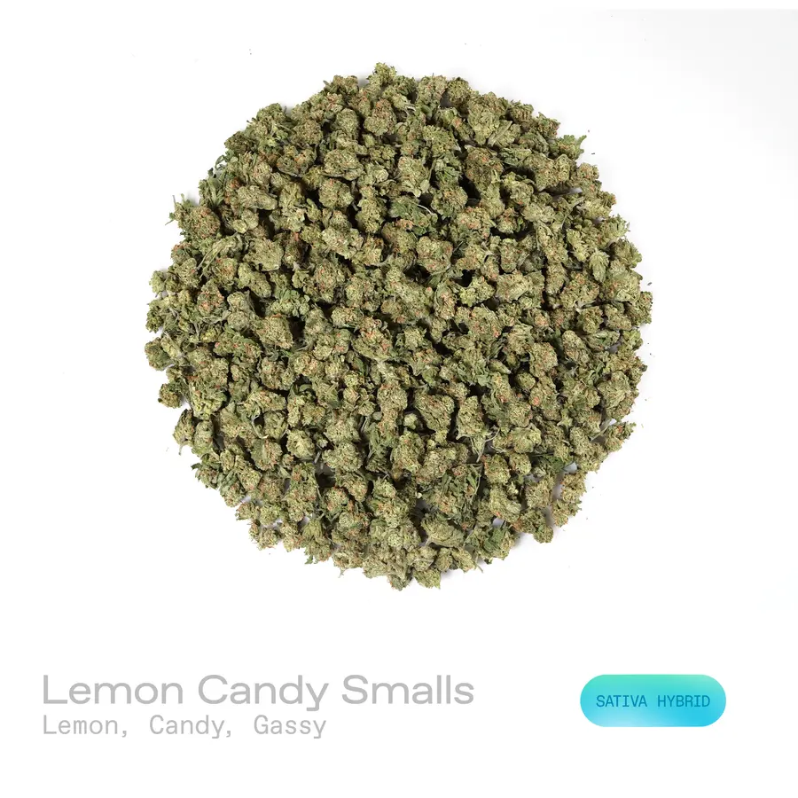 Lemon Candy THCa Flower (Indoor) (Sativa Hybrid)