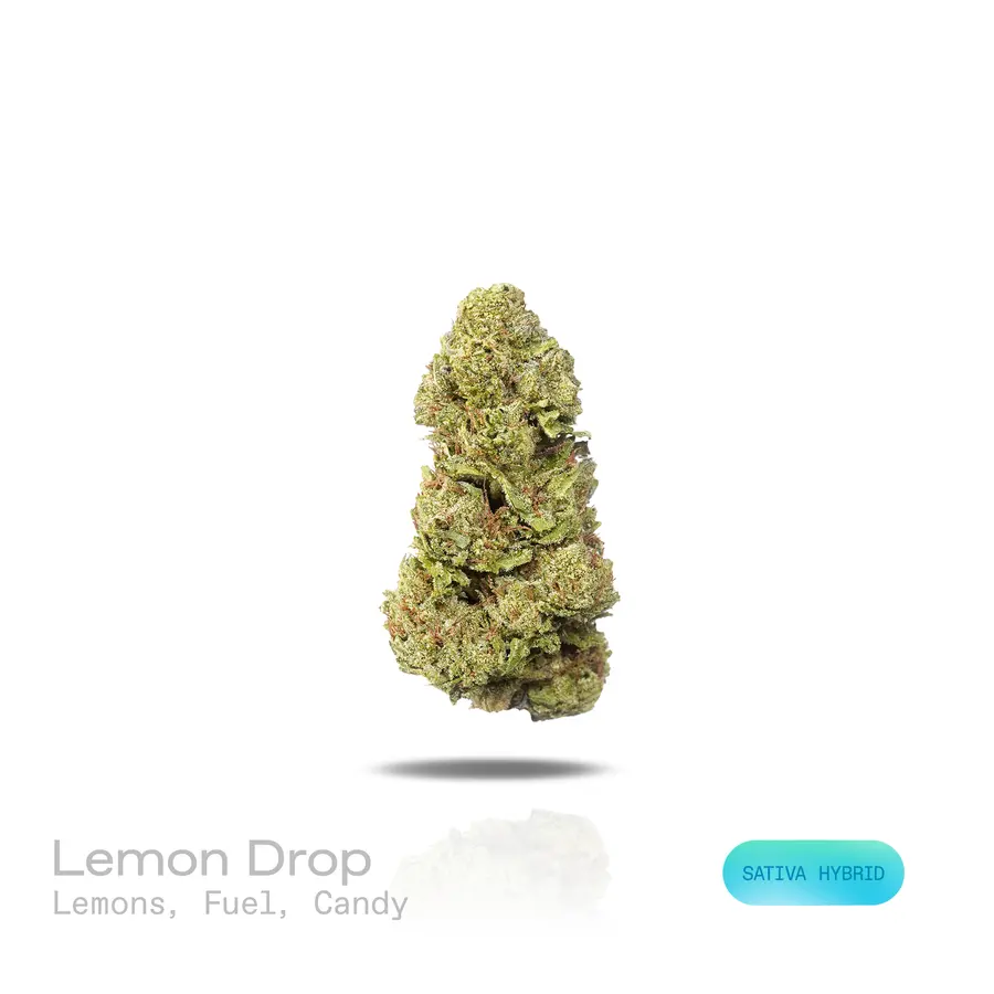 Lemon Drop THCa Flower (Indoor) (Sativa Hybrid)