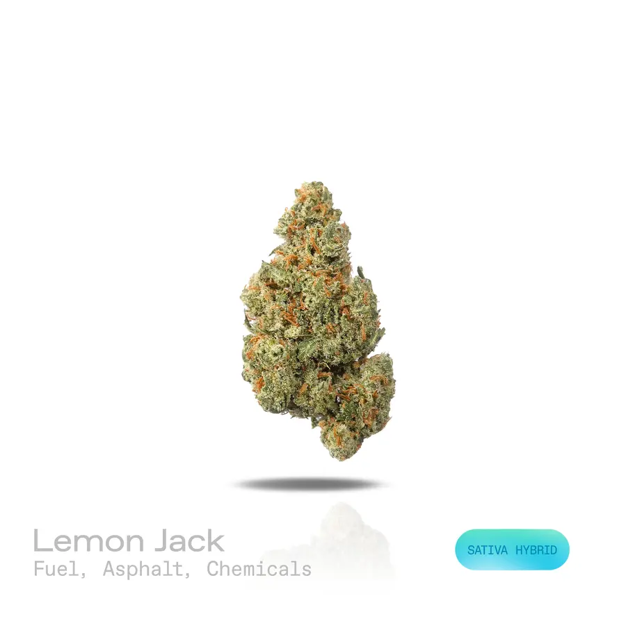 Lemon Jack THCa Flower (Exotic) (Sativa Hybrid)
