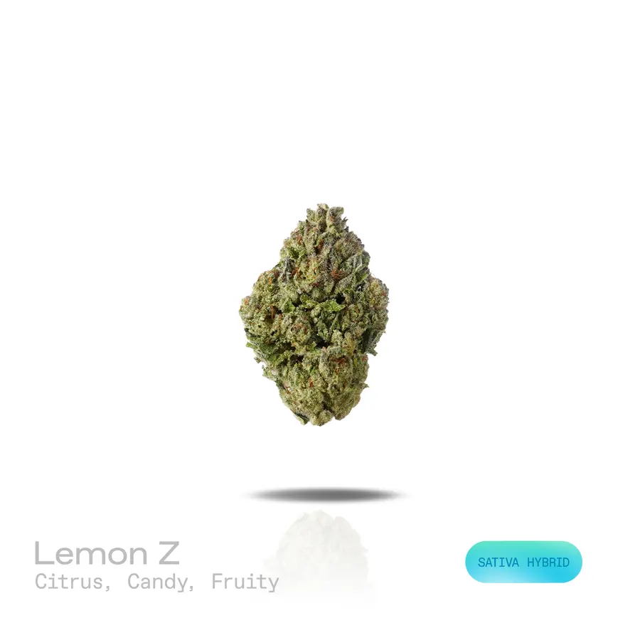 Lemon Z THCa Flower (Indoor) (Sativa Hybrid)