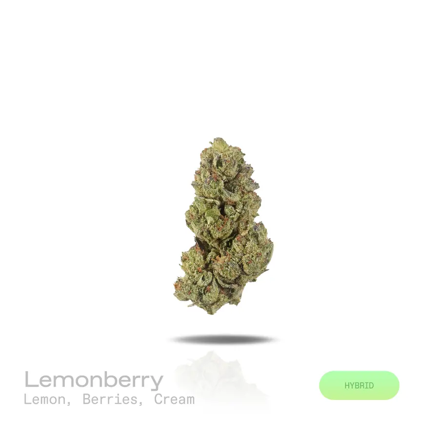 Lemonberry THCa Flower (Indoor) (Hybrid)