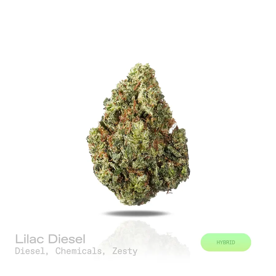 Lilac Diesel THCa Flower (Indoor) (Hybrid)