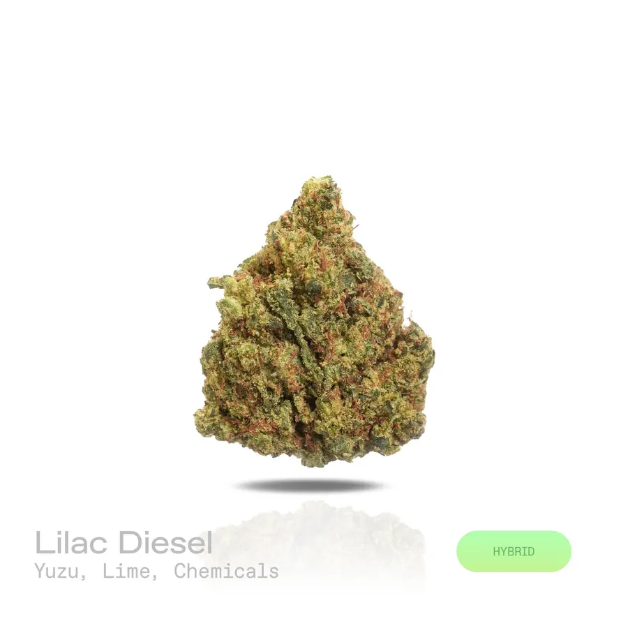 Lilac Diesel THCa Flower (Premium Indoor) (Hybrid)