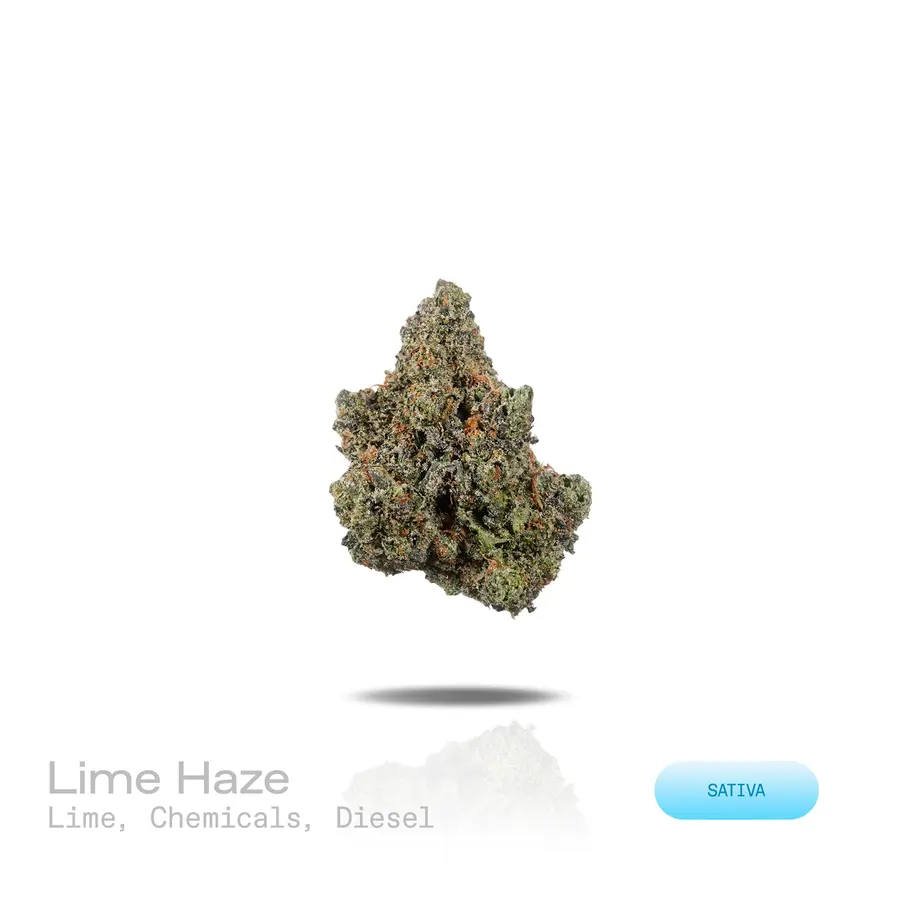 Lime Haze THCa Flower (Premium Indoor) (Sativa)