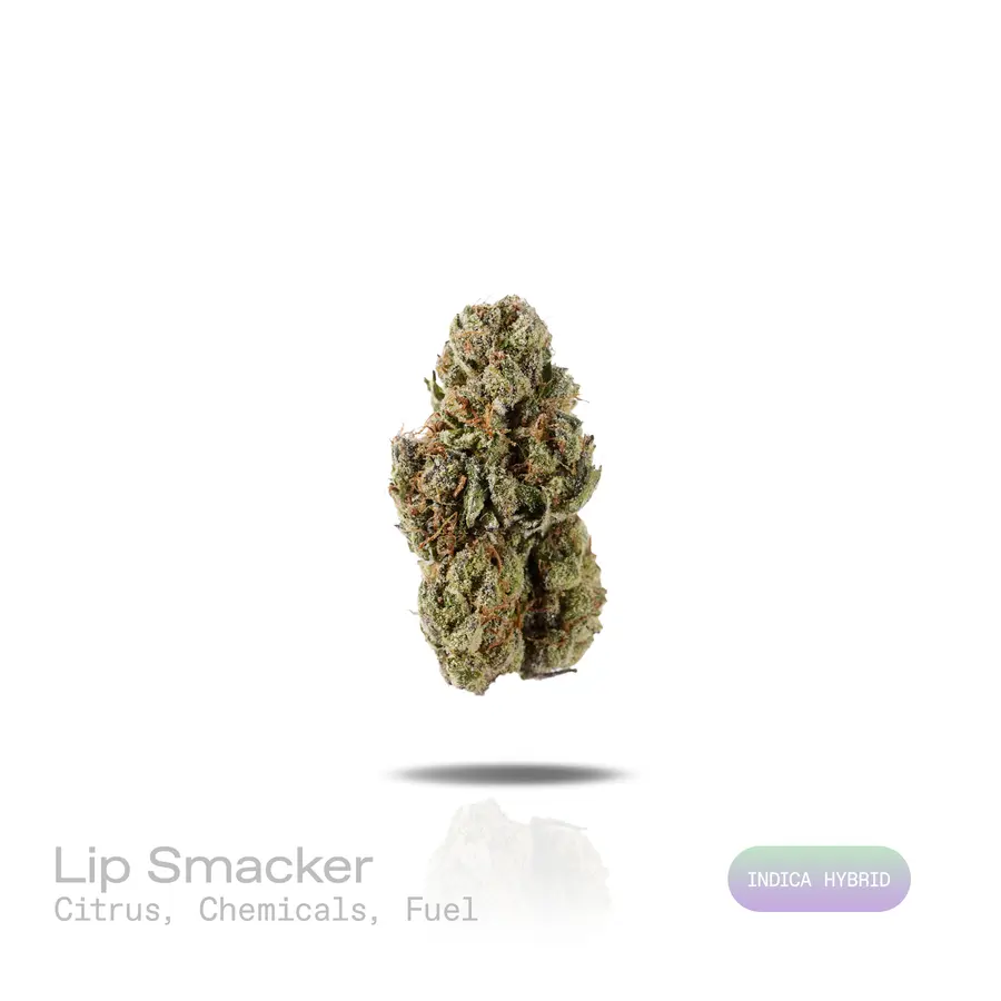 Lip Smacker THCa Flower (Premium Indoor) (Indica Hybrid)