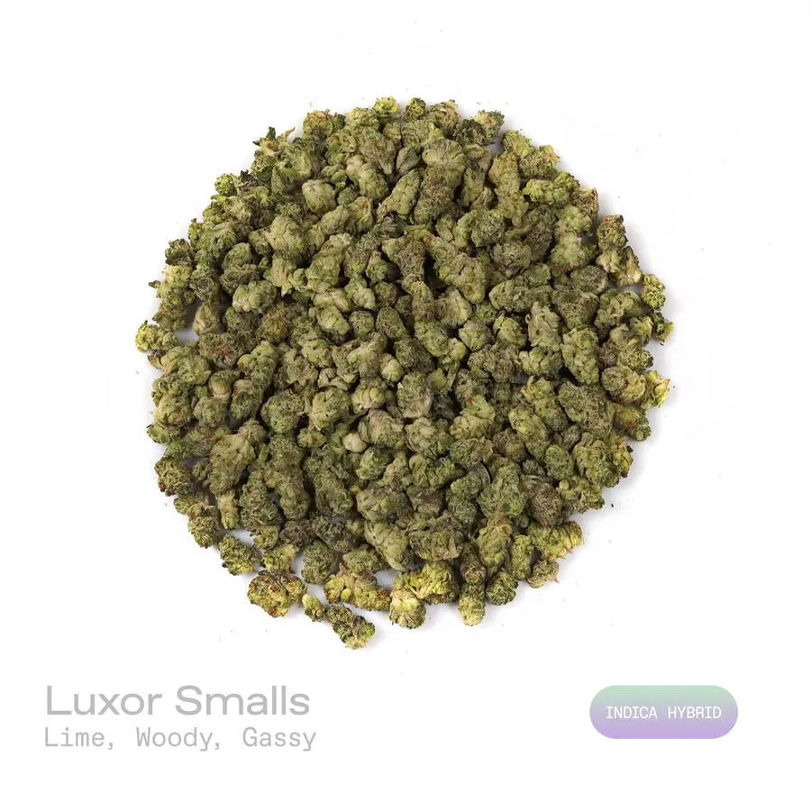 Luxor THCa Flower (Indoor) (Indica Hybrid)