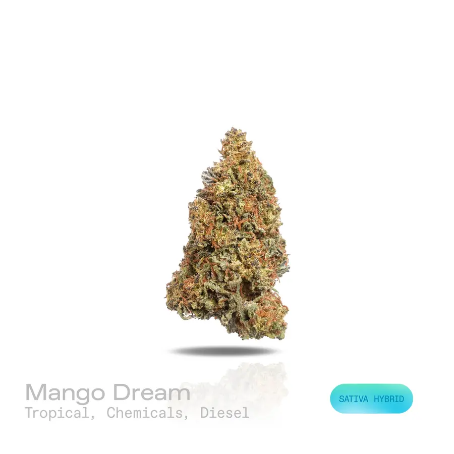 Mango Dream THCa Flower (Indoor) (Sativa Hybrid)