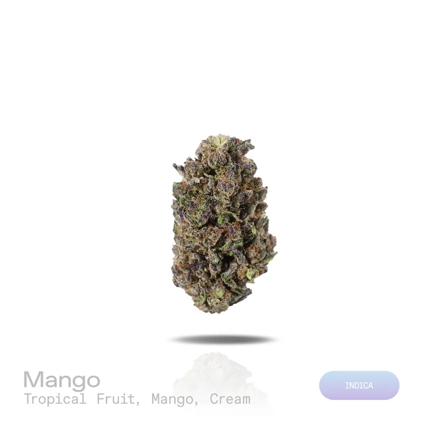 Mango THCa Flower (Indoor) (Indica)