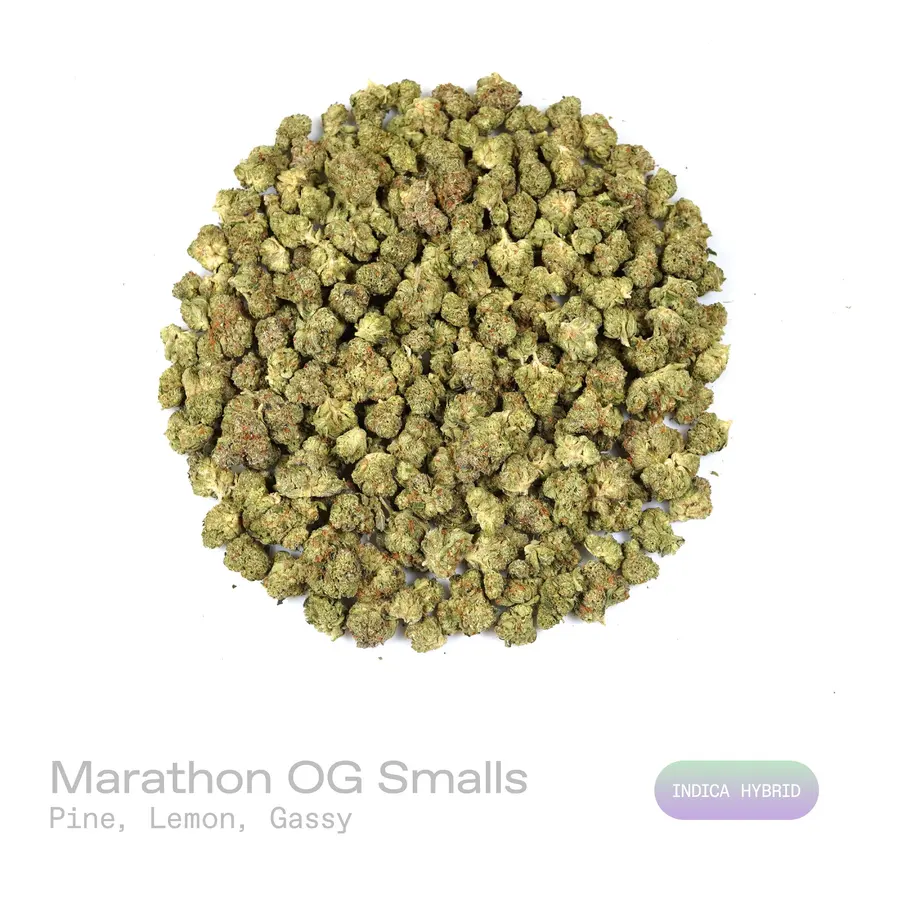 Marathon OG THCa Flower (Exotic) (Indica Hybrid)