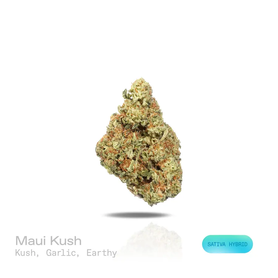 Maui Kush THCa Flower (Indoor) (Sativa Hybrid)