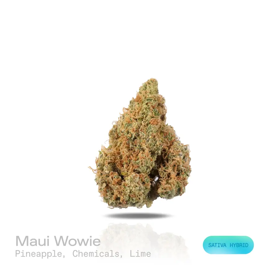 Maui Wowie THCa Flower (Exotic) (Sativa Hybrid)