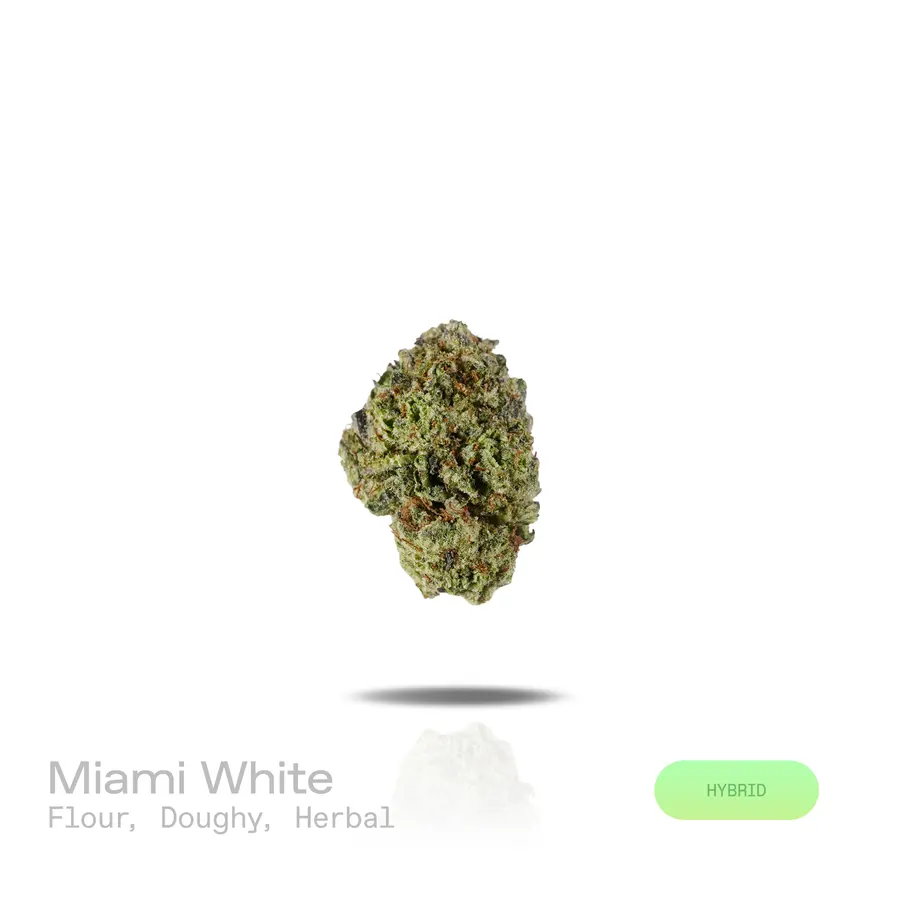 Miami White THCa Flower (Indoor) (Hybrid)