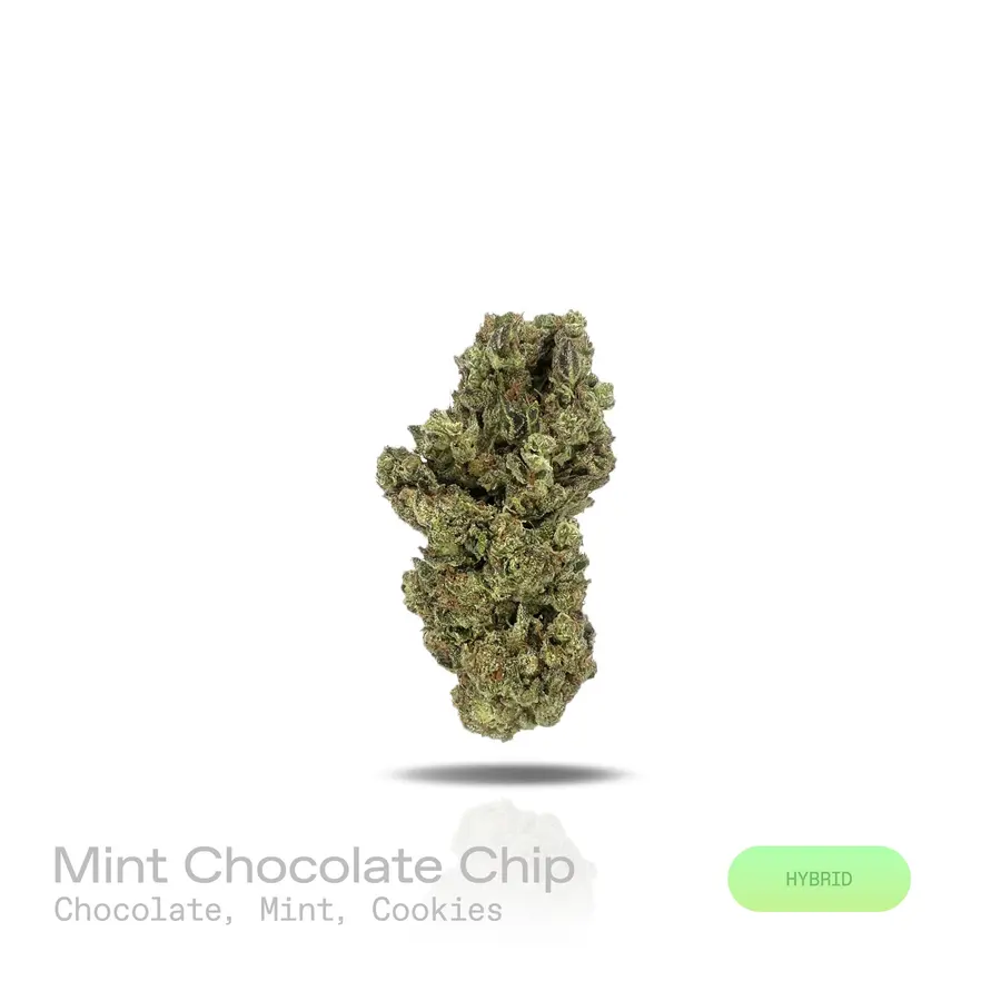 Mint Chocolate Chip THCa Flower (Indoor) (Hybrid)