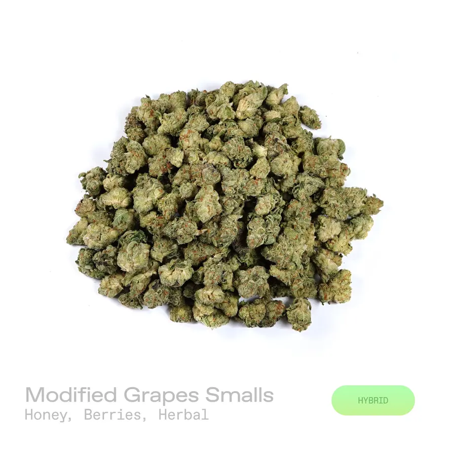 Modified Grapes THCa Flower (Indoor) (Hybrid)