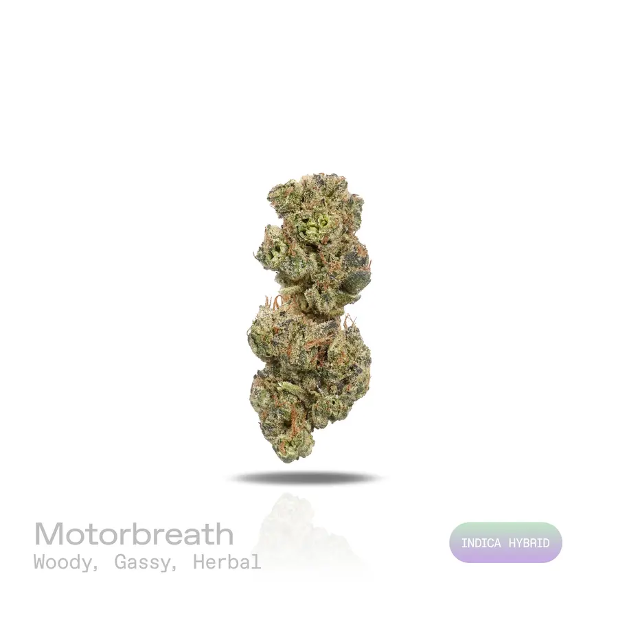 Motorbreath THCa Flower (Indoor) (Indica Hybrid)