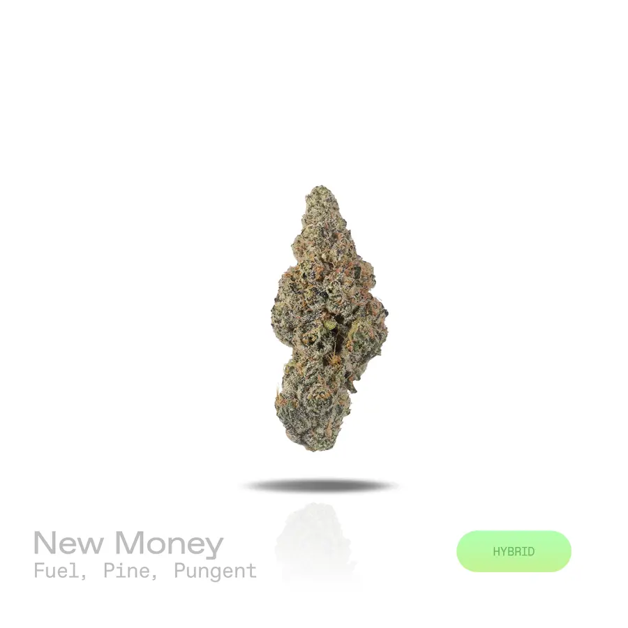 New Money THCa Flower (Exotic) (Hybrid)