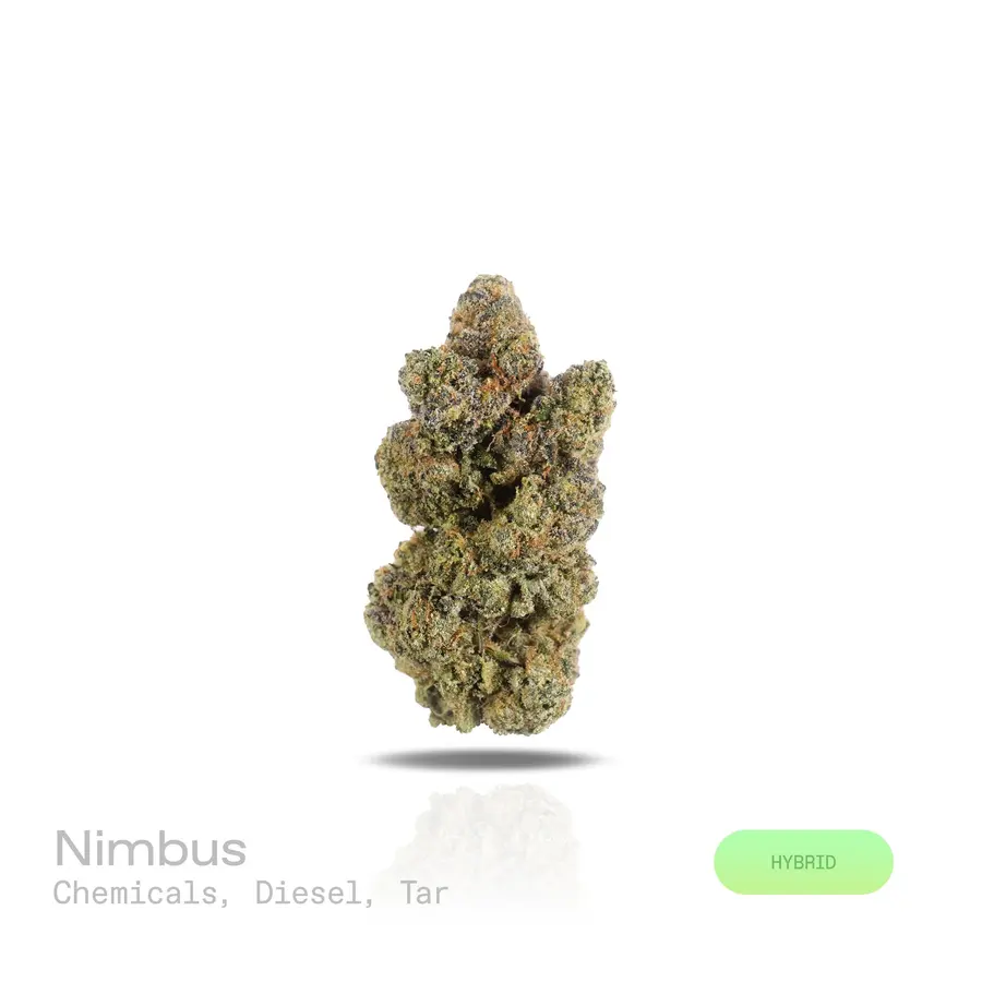 Nimbus THCa Flower (Exotic) (Hybrid)