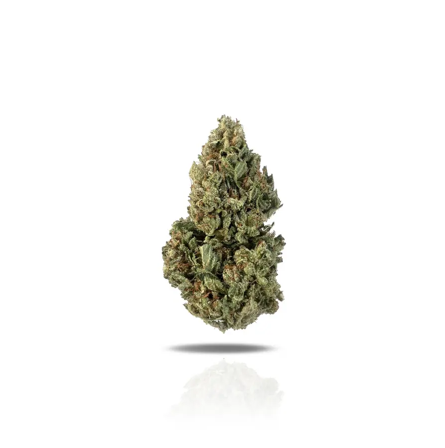 OG Kush THCa Flower (Indoor) (Indica Hybrid)