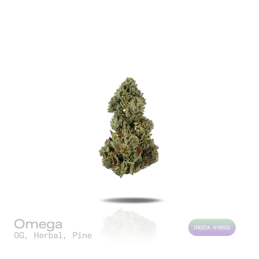 Omega THCa Flower (Indoor) (Indica Hybrid)