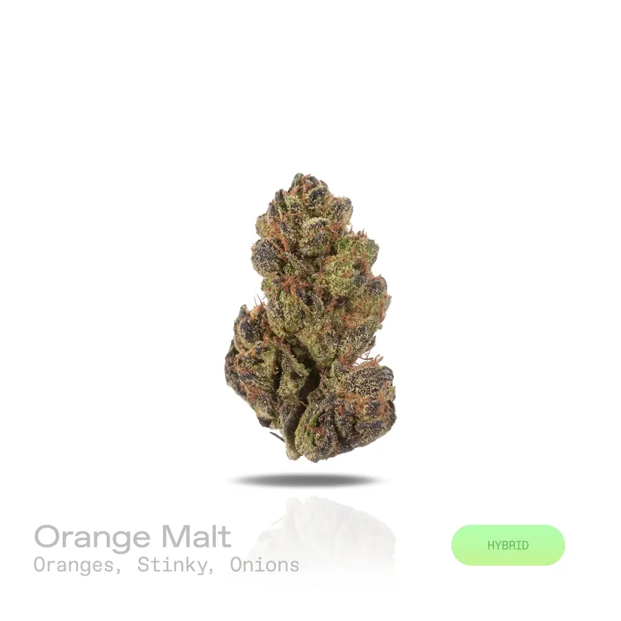 Orange Malt THCa Flower (Indoor) (Hybrid)