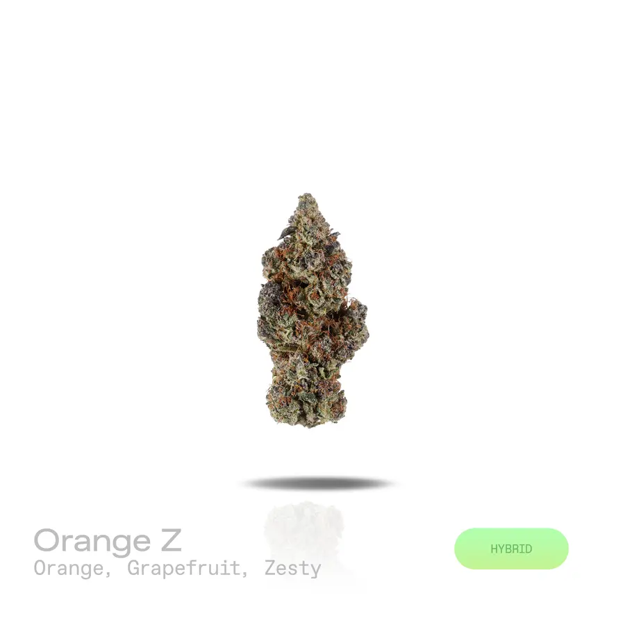 Orange Z THCa Flower (Premium Indoor) (Hybrid)