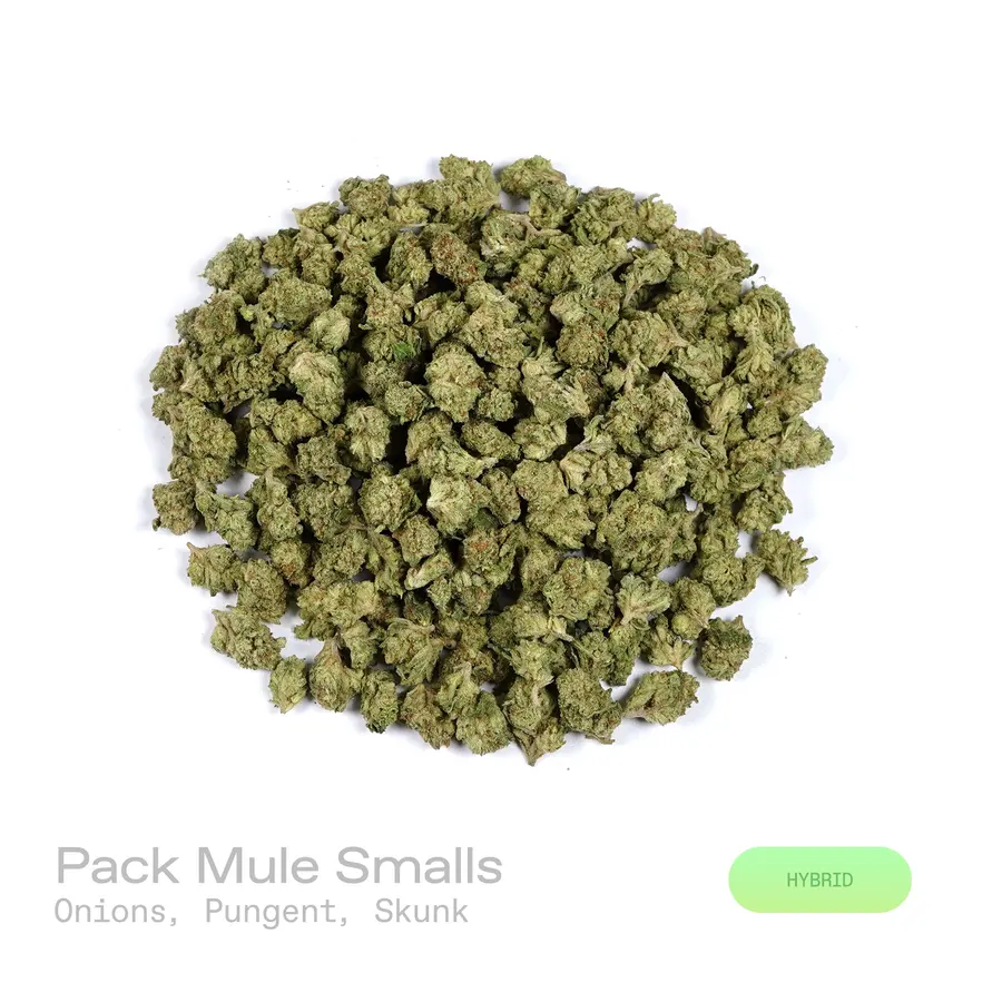 Pack Mule THCa Flower (Indoor) (Hybrid)