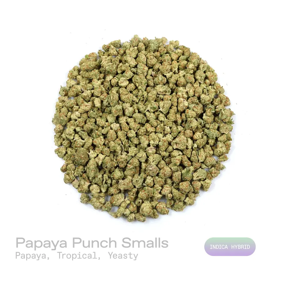 Papaya Punch THCa Flower (Exotic) (Indica Hybrid)