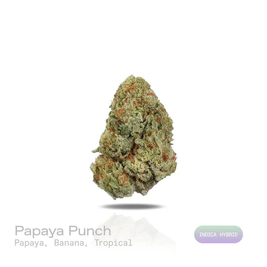 Papaya Punch THCa Flower (Premium Indoor) (Indica Hybrid)