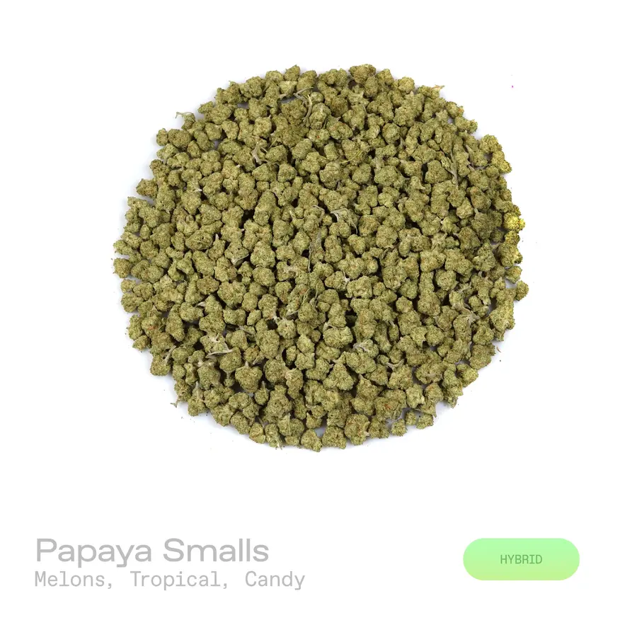 Papaya THCa Flower (Indoor) (Hybrid)