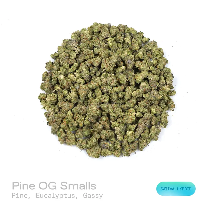 Pine OG THCa Flower (Exotic) (Sativa Hybrid)