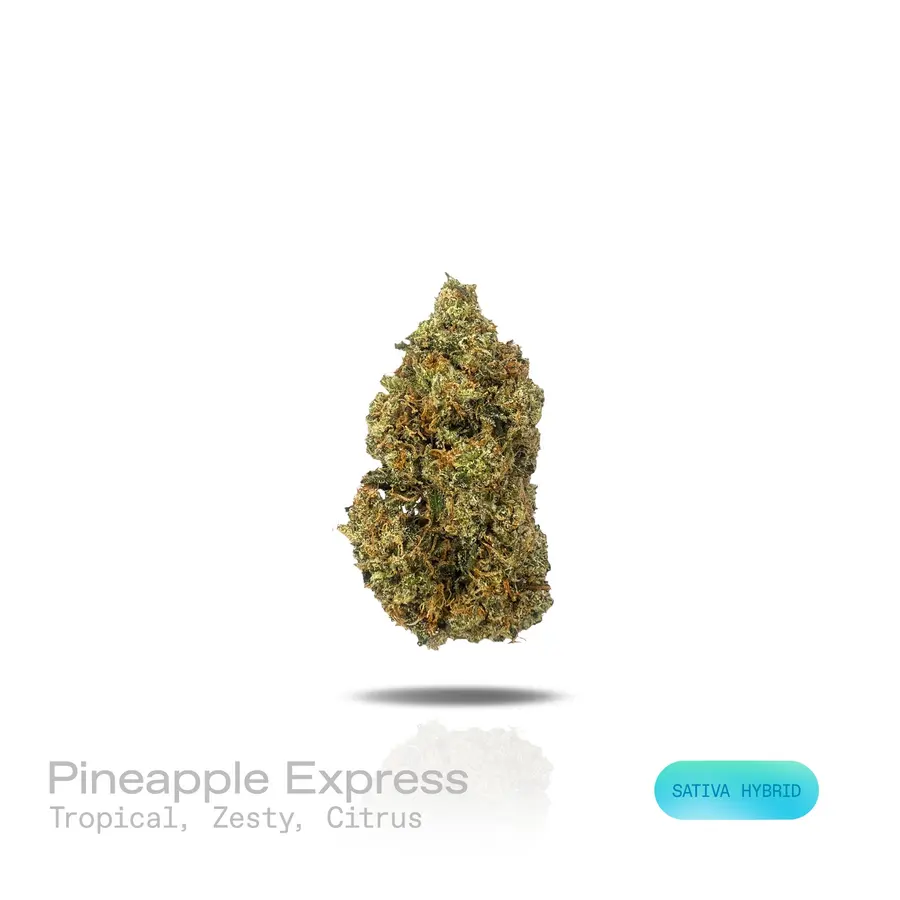 Pineapple Express THCa Flower (Exotic) (Sativa Hybrid)