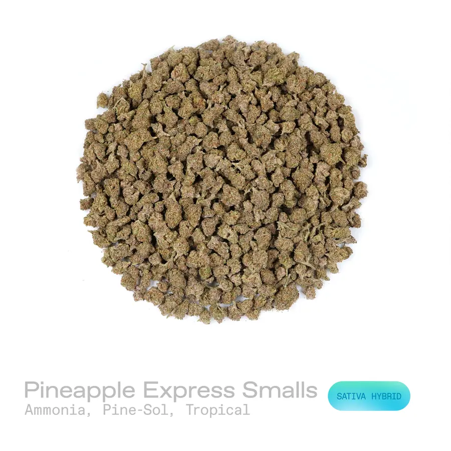 Pineapple Express THCa Flower (Indoor) (Sativa Hybrid)