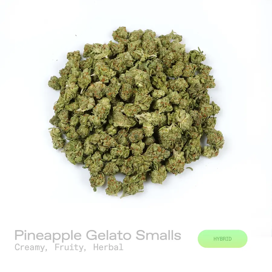 Pineapple Gelato THCa Flower (Indoor) (Hybrid)