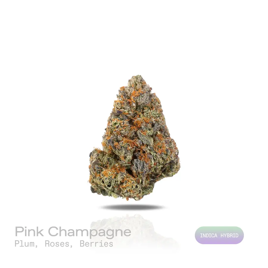 Pink Champagne THCa Flower (Premium Indoor) (Indica Hybrid)