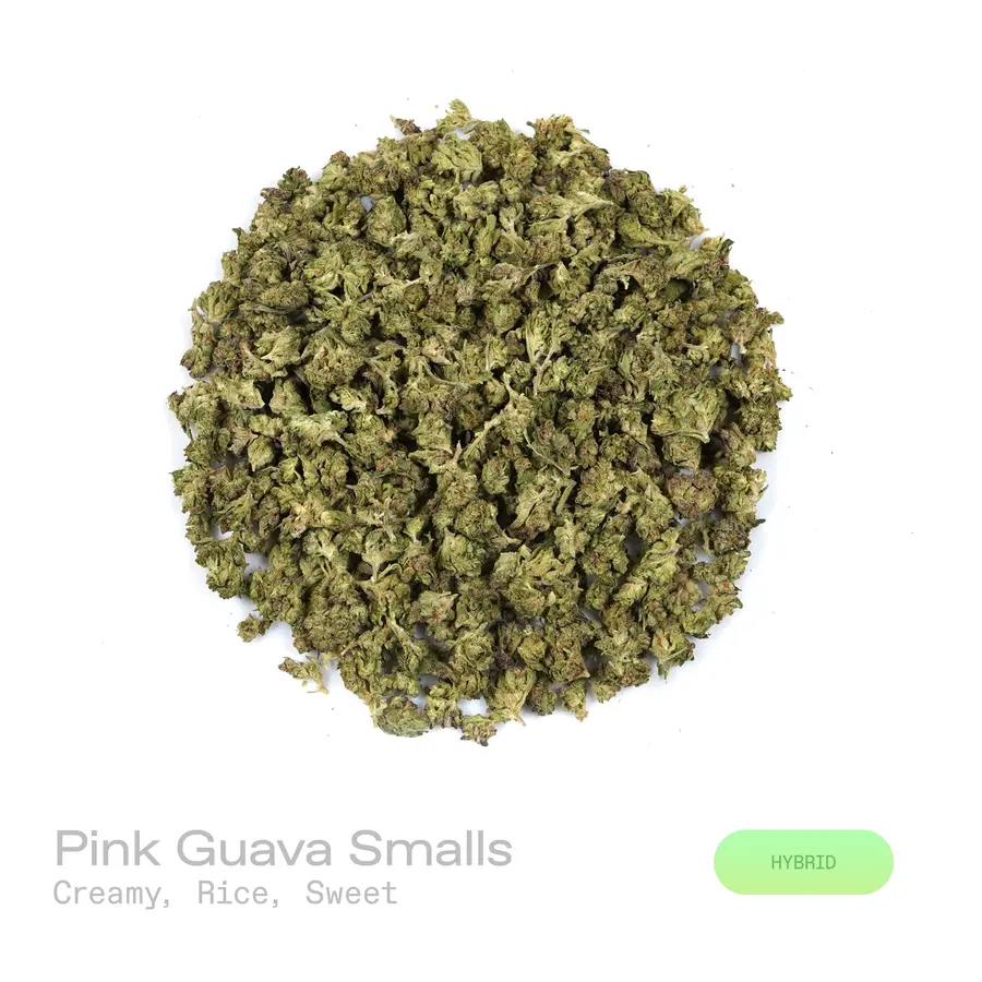 Pink Guava THCa Flower (Indoor) (Hybrid)