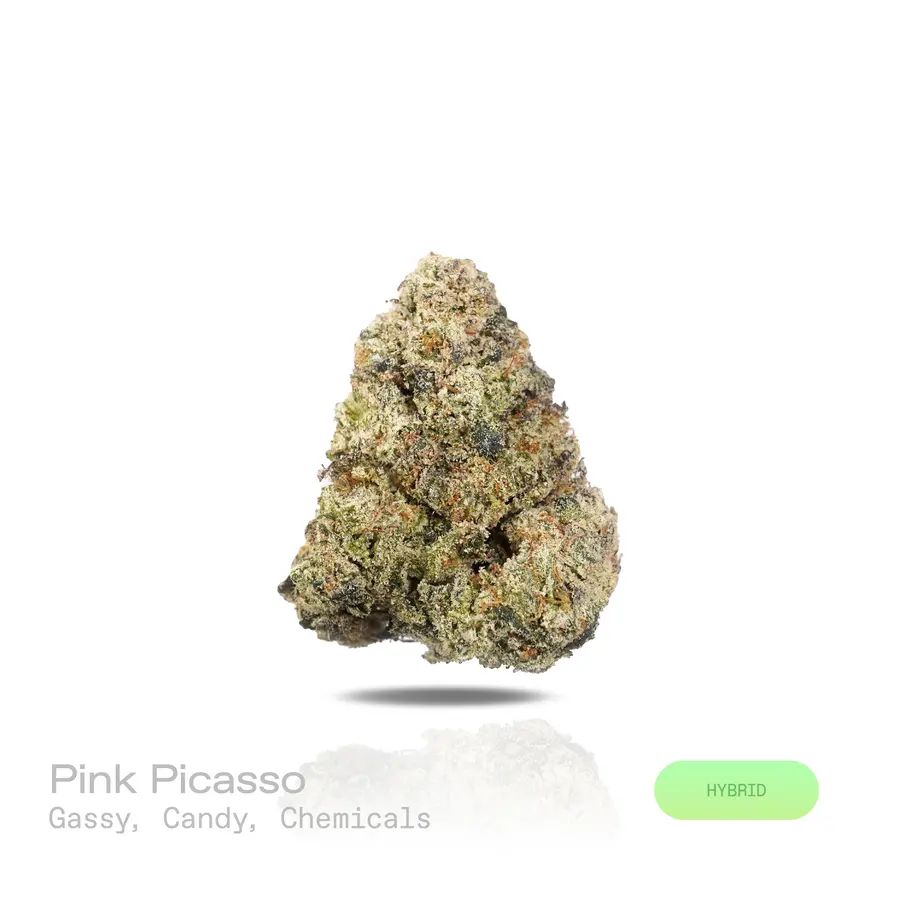 Pink Picasso THCa Flower (Exotic) (Hybrid)