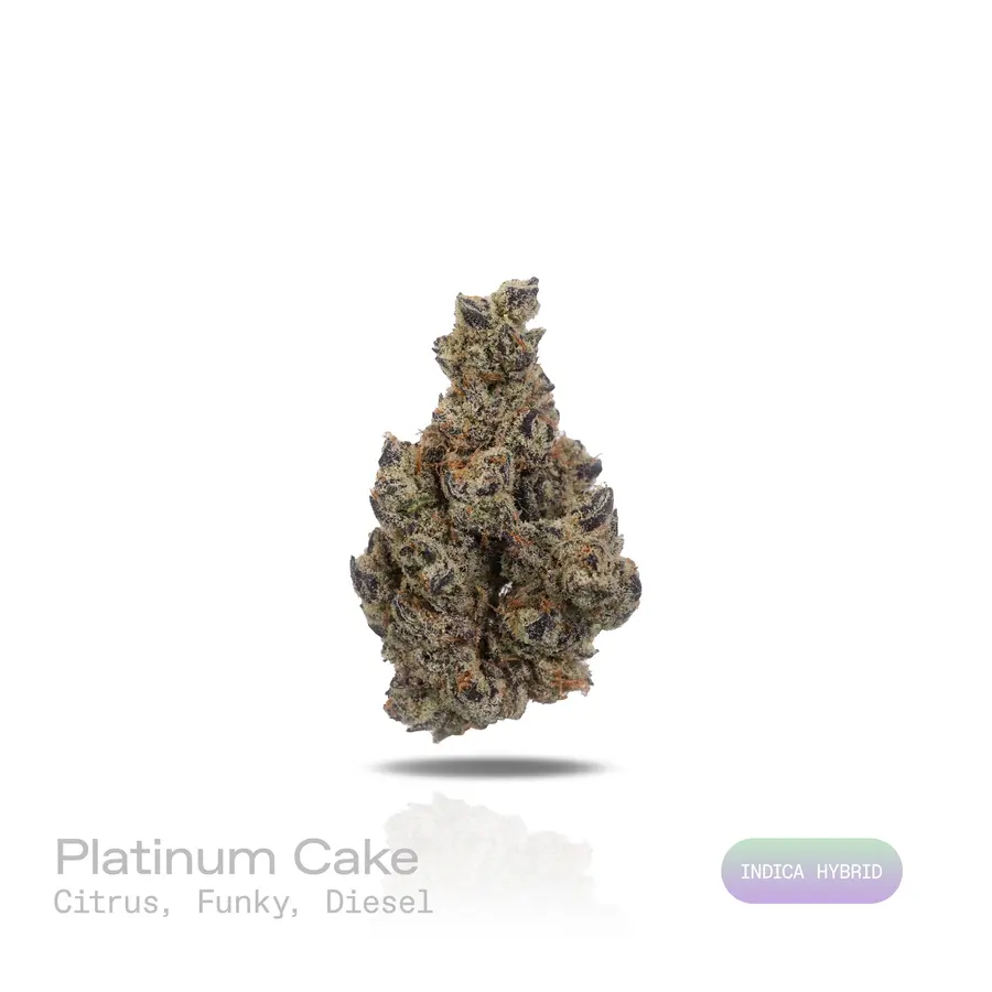 Platinum Cake THCa Flower (Exotic) (Indica Hybrid)