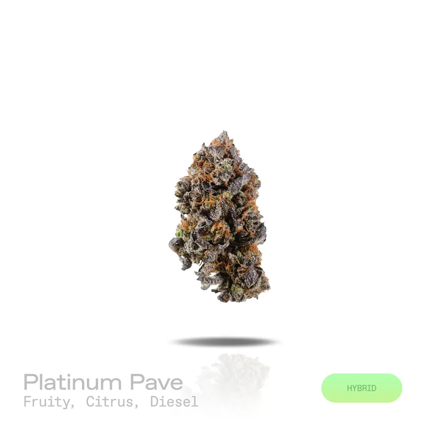Platinum Pave THCa Flower (Premium Indoor) (Hybrid)