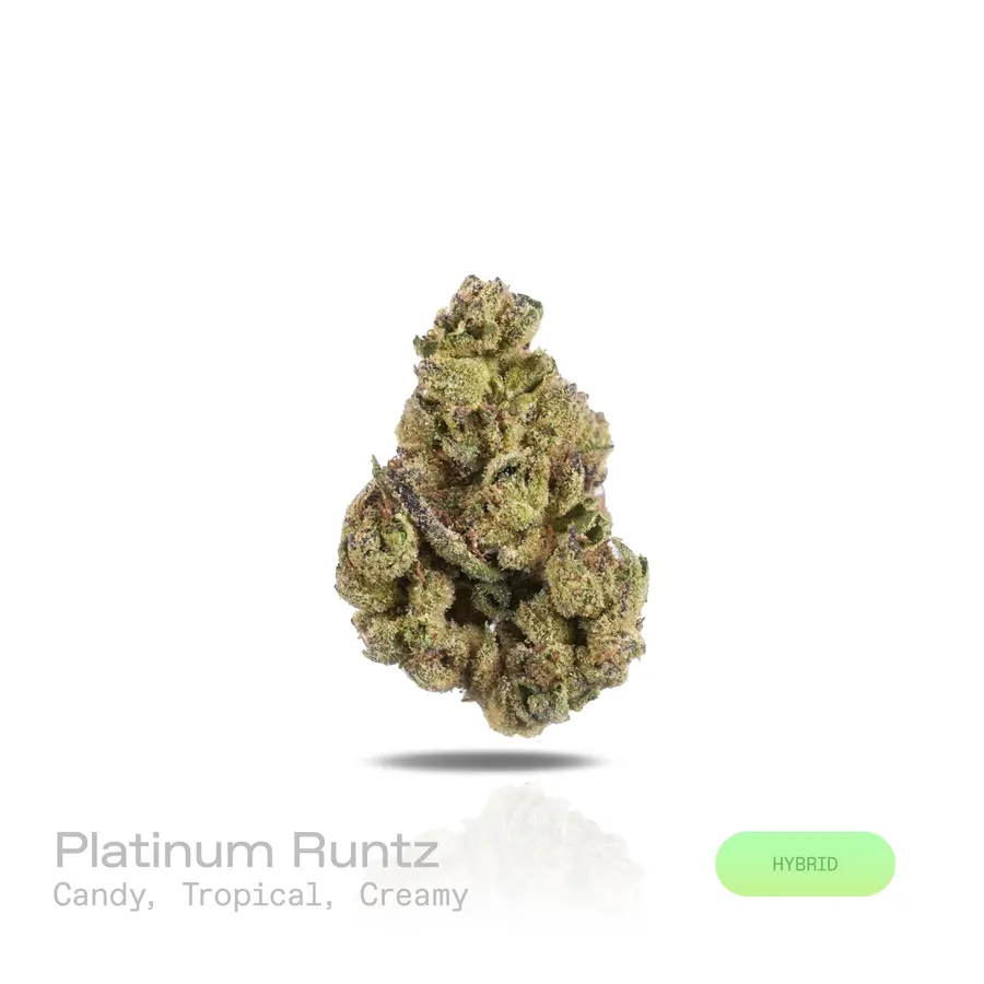 Platinum Runtz THCa Flower (Indoor) (Hybrid)