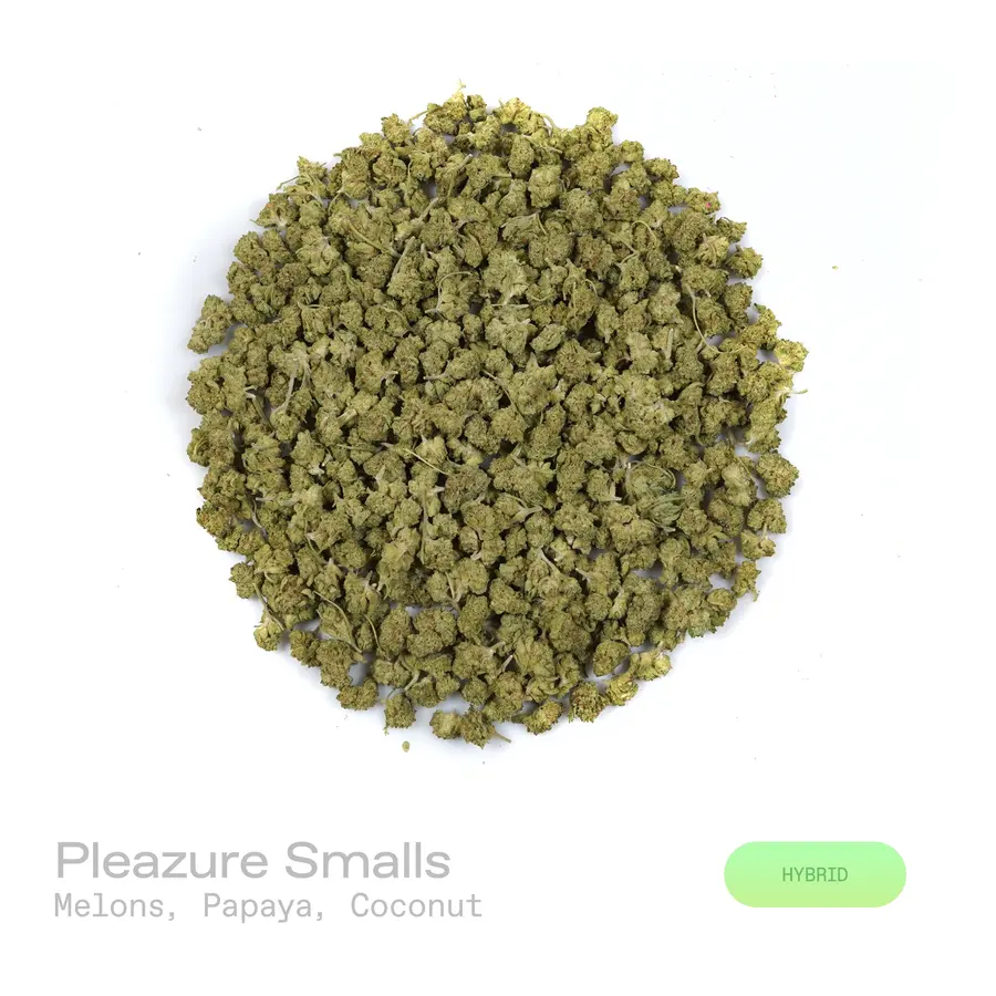 Pleazure THCa Flower (Indoor) (Hybrid)