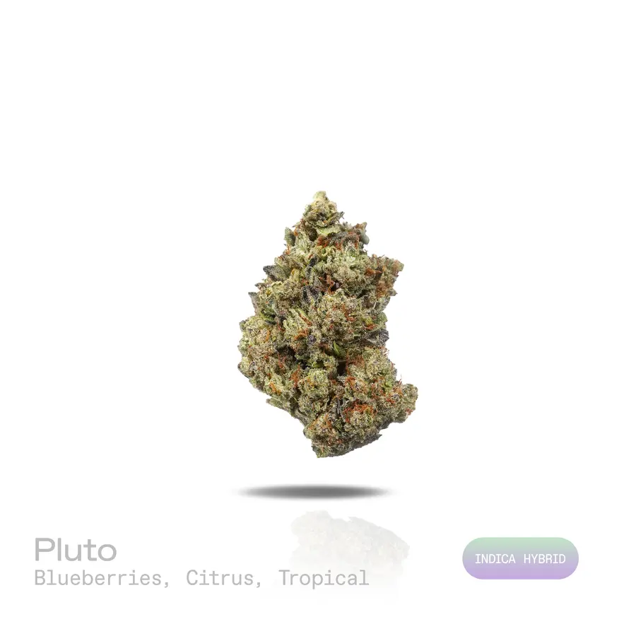 Pluto THCa Flower (Indoor) (Indica Hybrid)