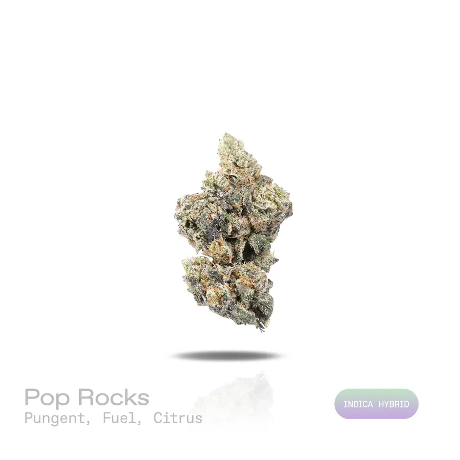 Pop Rocks THCa Flower (Exotic) (Indica Hybrid)