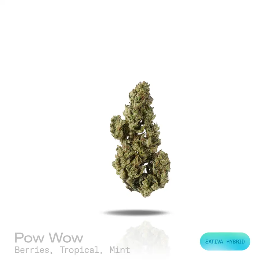Pow Wow THCa Flower (Indoor) (Sativa Hybrid)