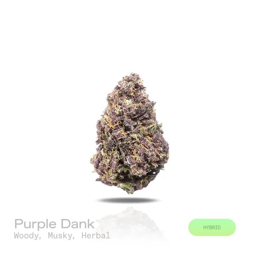 Purple Dank THCa Flower (Indoor) (Hybrid)