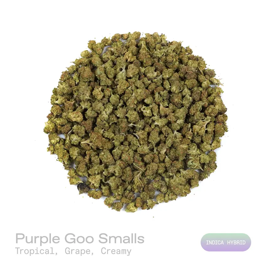 Purple Goo THCa Flower (Indoor) (Indica Hybrid)