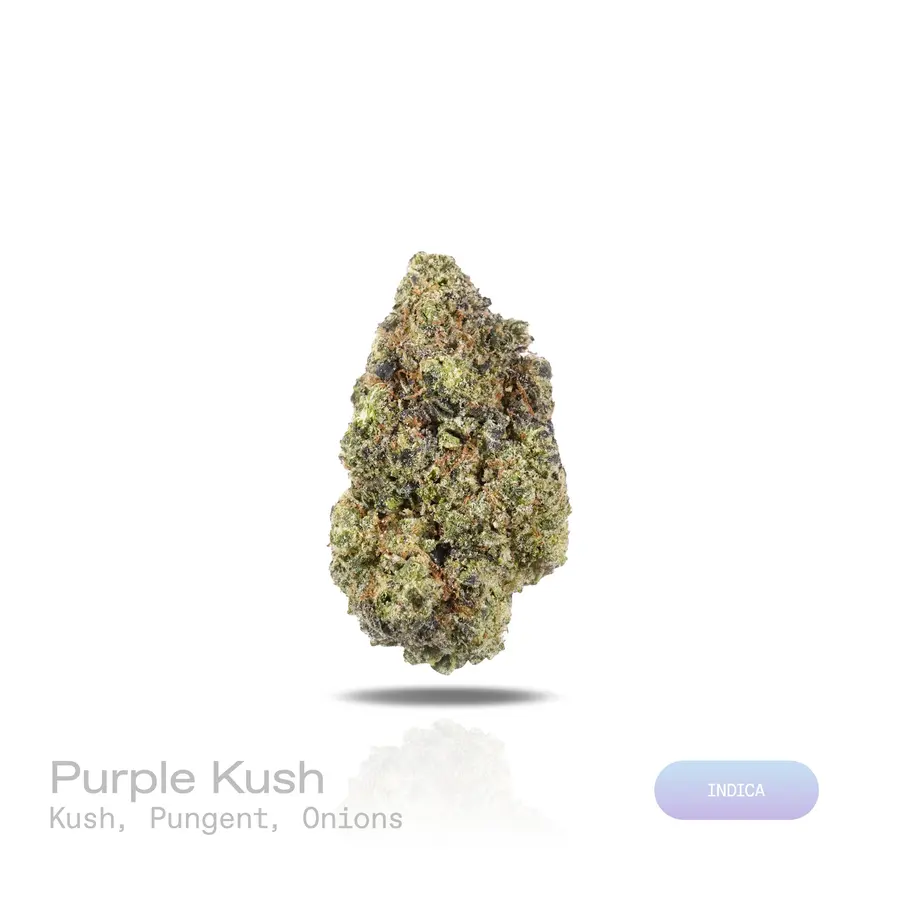 Purple Kush THCa Flower (Exotic) (Indica)