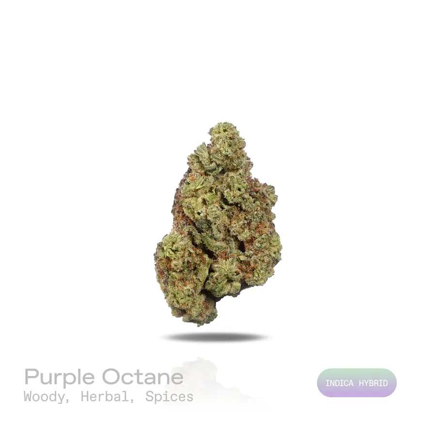 Purple Octane THCa Flower (Indoor) (Indica Hybrid)